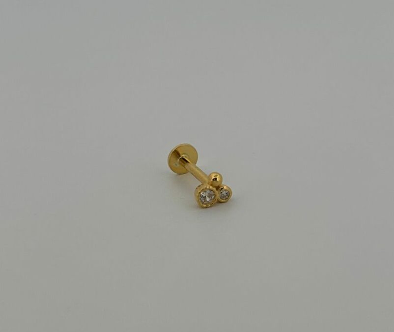 Ontdek de Unieke Wereld van Specifieke Piercingsoorten: Tragus, Rook en Daith