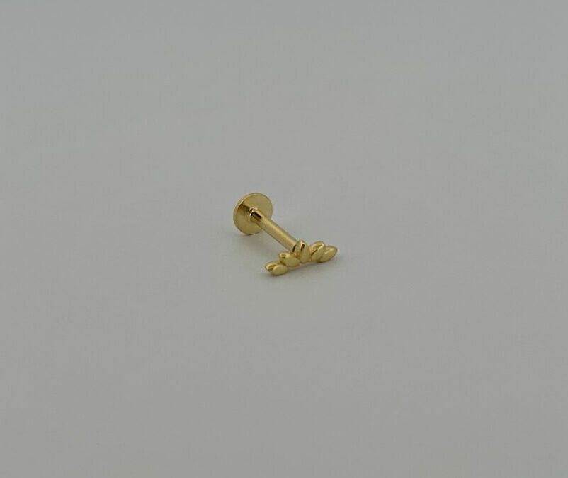 Threadless Piercings: Eenvoud, Veiligheid en Stijl in Één